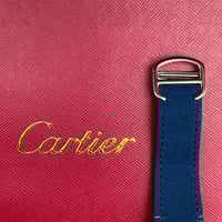 طقم سانتوس دي كارتييه سيليكتون | CA020