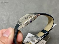 كارتييه سانتوس دومونت الصغير | ماستر كواليتي