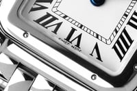 كارتييه بانثر الحجم الصغير | ماستر كواليتي