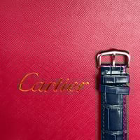 طقم تانك مست سانتوس دي كارتييه | CA018