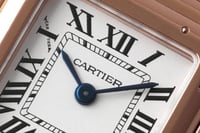 كارتييه بانثر الحجم الصغير | ماستر كواليتي