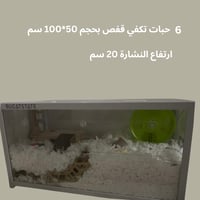 نشارة ورق لقفص الهامستر
