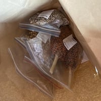 مجموعة السنابل