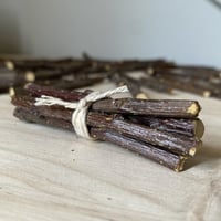 عضاضات لأسنان الهامستر