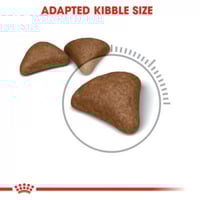 رويال كانين هيربول طعام للقطط 10 كغ