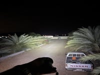 كشاف الوحش المطور أصلي 100%