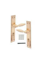 مقبض باب بليت زنك - LOZAN