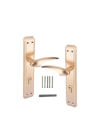 زوج مقبض باب بليت