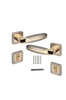 مقبض باب مفصول ذهبي .