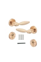 زوج مقبض باب مفصول زنك .