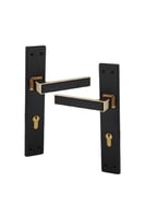 مقبض باب بليت متعدد الالوان - LOZAN