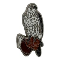 ملصق جديد صقر 2