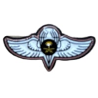 ملصق حديد لصق 3M دورة المظلات