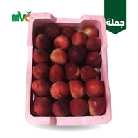 نكترين تبوك بلدي /فلين