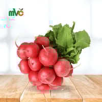 فجل أحمر بلدي 1 ربطة