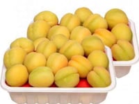 مشمش عجمي سوري /سلة