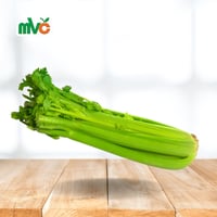 كرفس سلري 1 ربطة