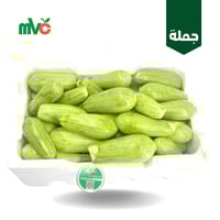 كوسة بلدي محشي /فلين