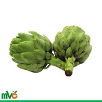 ارضي شوكي امريكي