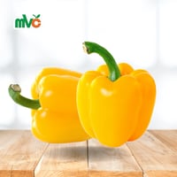 فلفل بارد أصفر نصف كيلو