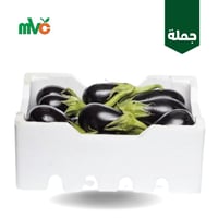 باذنجان حبة صغيرة بلدي /فلين