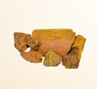 مستخلص لب الراوند 50 جرام