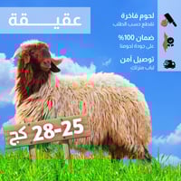 خروف عقيقة 25-28 كغ