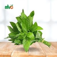 نعناع الخرج 10 ربطة