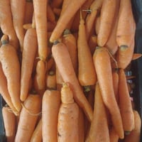 جزر بلدي/سلة كبيرة