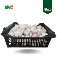 ثوم أخضر سوري /سلة