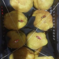 سفرجل سوري /صندوق