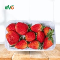 فراولة مصري بكت