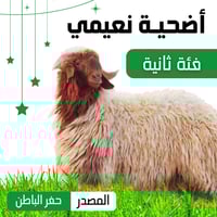 أضحية نعيمي فئة ثانية