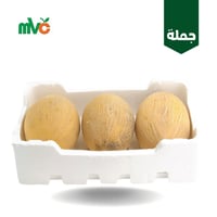 شمام بلدي /فلين