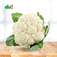 زهرة قرنبيط سورية 1 حبة