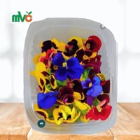 زهرة البانسية او الثالوث بكت