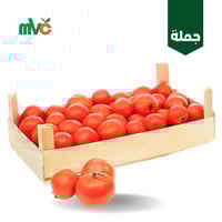 طماطم اردني /صندوق