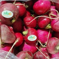 5 كيلو فجل أحمر سوري