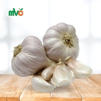 ثوم حساوي ازرق عضوي ربع كيلو