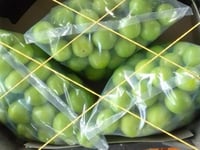 جارينك سوري سلة