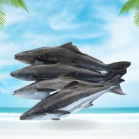 سمك سكن محلي نصف كيلو