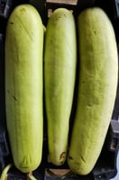 قرع أخضر طويل/سلة