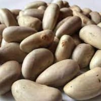 بذور جاك فروت نصف كيلو