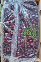 كرز مستورد كرتون