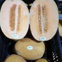 شمام اناناس سوري سلة كبيرة