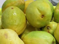 لوز أسكندراني جامبو نصف كيلو