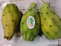 5 كيلو صبار برشوم اردني جامبو