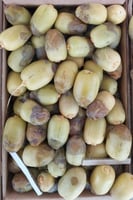 رطب شيشي حساوي كرتون