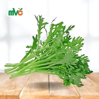 رشاد الخرج 1 ربطة