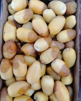 رطب اخلاص حساوي كرتون